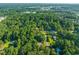 Panoramic aerial view of a residential neighborhood with green trees surrounding beautiful homes and giving privacy at 4151 Deep Wood Cir, Durham, NC 27707