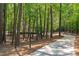 A long, paved driveway lined with trees leads to the residence at 4905 Ivercroft Pl, Fuquay Varina, NC 27526