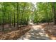 Long paved driveway flanked by mature trees leading to residence at 4905 Ivercroft Pl, Fuquay Varina, NC 27526