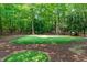 A backyard putting green with manicured landscaping adds a touch of recreational luxury to the property at 4905 Ivercroft Pl, Fuquay Varina, NC 27526