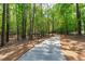 Scenic walking path through a lush forest with tall trees and greenery at 4905 Ivercroft Pl, Fuquay Varina, NC 27526