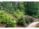 A well-landscaped yard featuring blooming hydrangea bushes and mature trees at 521 Morning Oaks Dr, Holly Springs, NC 27540