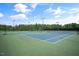 Well-maintained community tennis courts surrounded by lush landscaping at 521 Morning Oaks Dr, Holly Springs, NC 27540