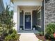 Welcoming front porch with a blue door, white trim, stone accents, and neatly landscaped plants at 67 Blue Spruce Cir, Clayton, NC 27527