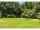 Expansive backyard with lush green grass and mature trees, offering ample space for outdoor activities at 7595 Clayton Blvd # B, Clayton, NC 27520