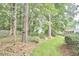 Private backyard with mature trees, complemented by lush greenery, creating a peaceful outdoor space at 102 Duxbury Dr, Cary, NC 27513