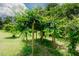 Detailed view of a pergola covered in lush greenery, creating a private and inviting outdoor retreat at 125 Green Ln, Clayton, NC 27520