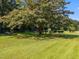 Spacious backyard featuring a mature flowering tree and a charming treehouse at 3000 Hidden Spring Ln, Oxford, NC 27565