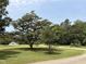 Expansive front yard featuring mature trees, lush green grass, and a long driveway at 3000 Hidden Spring Ln, Oxford, NC 27565
