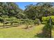 Backyard vineyard on a sunny day with grape vines on trellises at 3000 Hidden Spring Ln, Oxford, NC 27565
