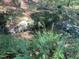 Clear, shallow creek with ferns and a rock for natural beauty at 3506 Arthur Minnis Rd, Hillsborough, NC 27278