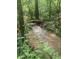 Scenic creek flowing under a small bridge amid lush greenery and trees at 3506 Arthur Minnis Rd, Hillsborough, NC 27278