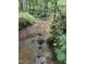 A tranquil stream winding through the lush greenery of the property at 3506 Arthur Minnis Rd, Hillsborough, NC 27278