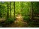 Pathway leads through wooded property with lush landscape at 3506 Arthur Minnis Rd, Hillsborough, NC 27278