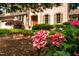 Landscaped front yard with blooming pink hydrangeas adding color to the home's exterior at 429 Carolina Cir, Durham, NC 27707