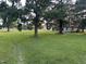 Expansive backyard features mature trees and a charming home, perfect for outdoor enjoyment at 10248 Nc-43, Rocky Mount, NC 27801