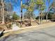 Street view with pedestrian bridge access and lush foliage, creating a welcoming atmosphere at 103 Cimmaron Ct, Cary, NC 27511