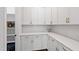 Bright pantry with white cabinets and modern hardware, offering ample storage space at 164 E Spring Showers Trail Trl, Angier, NC 27501