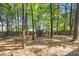 View of fenced backyard surrounded by mature trees, offering shade and privacy at 18 Frances St, Chapel Hill, NC 27517