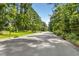 Wide street view lined with mature trees, creating a peaceful and inviting atmosphere at 18 Frances St, Chapel Hill, NC 27517