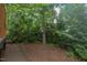 View of the backyard showing wooded and green foliage area and the deck of the house at 2222 Pathway Dr, Chapel Hill, NC 27516