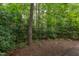 View of the backyard showing wooded and green foliage area and wooden fencing in the background at 2222 Pathway Dr, Chapel Hill, NC 27516