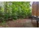 View of the backyard showing the wooded and green foliage area and the house deck to the right at 2222 Pathway Dr, Chapel Hill, NC 27516