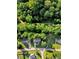 An eye-level view displays a home surrounded by trees at 240 Carrington Ave, Franklinton, NC 27525