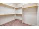 Walk-in closet with carpeted floor, shelving, and hanging racks at 262 Salt Cedar Ln, Chapel Hill, NC 27516
