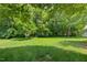 Expansive backyard with lush lawn and mature trees, ideal for recreation and relaxation at 408 N Fourth/ 4Th St, Mebane, NC 27302