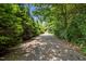 Community path surrounded by trees and nature at 444 Claremont Dr, Chapel Hill, NC 27516