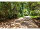 Scenic walking path lined with lush greenery and shady trees at 444 Claremont Dr, Chapel Hill, NC 27516