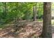 View of treed backyard with foliage and green grass at 6069 Jones Cir, Sanford, NC 27332