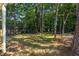 View of treed backyard with foliage and green grass, house is in distance at 6069 Jones Cir, Sanford, NC 27332