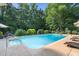 Backyard pool featuring a sun deck and lounge chairs surrounded by trees and landscaping at 7713 Summercrest Dr, Apex, NC 27539