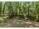 Backyard area surrounded by lush greenery and mature trees at 908 Cedar Fork Trl, Chapel Hill, NC 27514