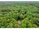 Home nestled within a lush green forest canopy at 11619 Appaloosa W Run, Raleigh, NC 27613