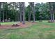 Picnic area with tables and a playground nestled among tall trees at 11619 Appaloosa W Run, Raleigh, NC 27613
