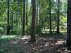 Wooded backyard offers privacy and seclusion, perfect for nature lovers and outdoor activities at 1225 Fairlane Rd, Cary, NC 27511
