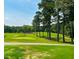 Scenic golf course with green fairways, mature trees, and beautiful landscaping at 133 Black Cloud Dr, Louisburg, NC 27549