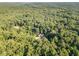 Distant aerial view of a home nestled in a dense forest landscape at 136 Vireo Ln, Hillsborough, NC 27278