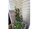 Charming flower pot with climbing vines and petunia flowers at 1891 Frost Dr, Haw River, NC 27258