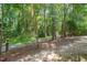 Backyard features a wooded area with a stone pathway, perfect for nature walks and enjoying the outdoors at 209 Homegate Cir, Apex, NC 27502