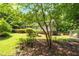 Lush backyard featuring verdant lawn, trees, and meticulously maintained landscaping at 211 Hills Of The Haw Rd, Pittsboro, NC 27312