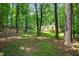 Mature backyard features a gazebo, a shed, a green lawn, and is surrounded by mature trees at 224 Fleming Dr, Durham, NC 27712