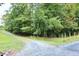 Gravel driveway leading to the property, surrounded by trees and natural landscaping at 2440 Gardner Holt Rd, Burlington, NC 27215