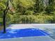 Outdoor court with basketball hoops, surrounded by green trees and foliage at 6422 English Oaks Dr, Raleigh, NC 27615