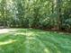 Large backyard showing the lawn bordered by tall trees and a white wooden fence at 8504 Carlton Oaks Dr, Wake Forest, NC 27587