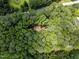A densely wooded homesite is surrounded by lush greenery and mature trees at 9709 Greenfield Rd, Chapel Hill, NC 27516