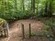 View of a fenced-in backyard with a natural, wooded backdrop at 9709 Greenfield Rd, Chapel Hill, NC 27516